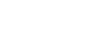 Vaysin